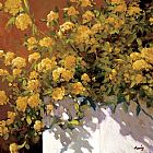 Yellow Geraniums by Philip Craig